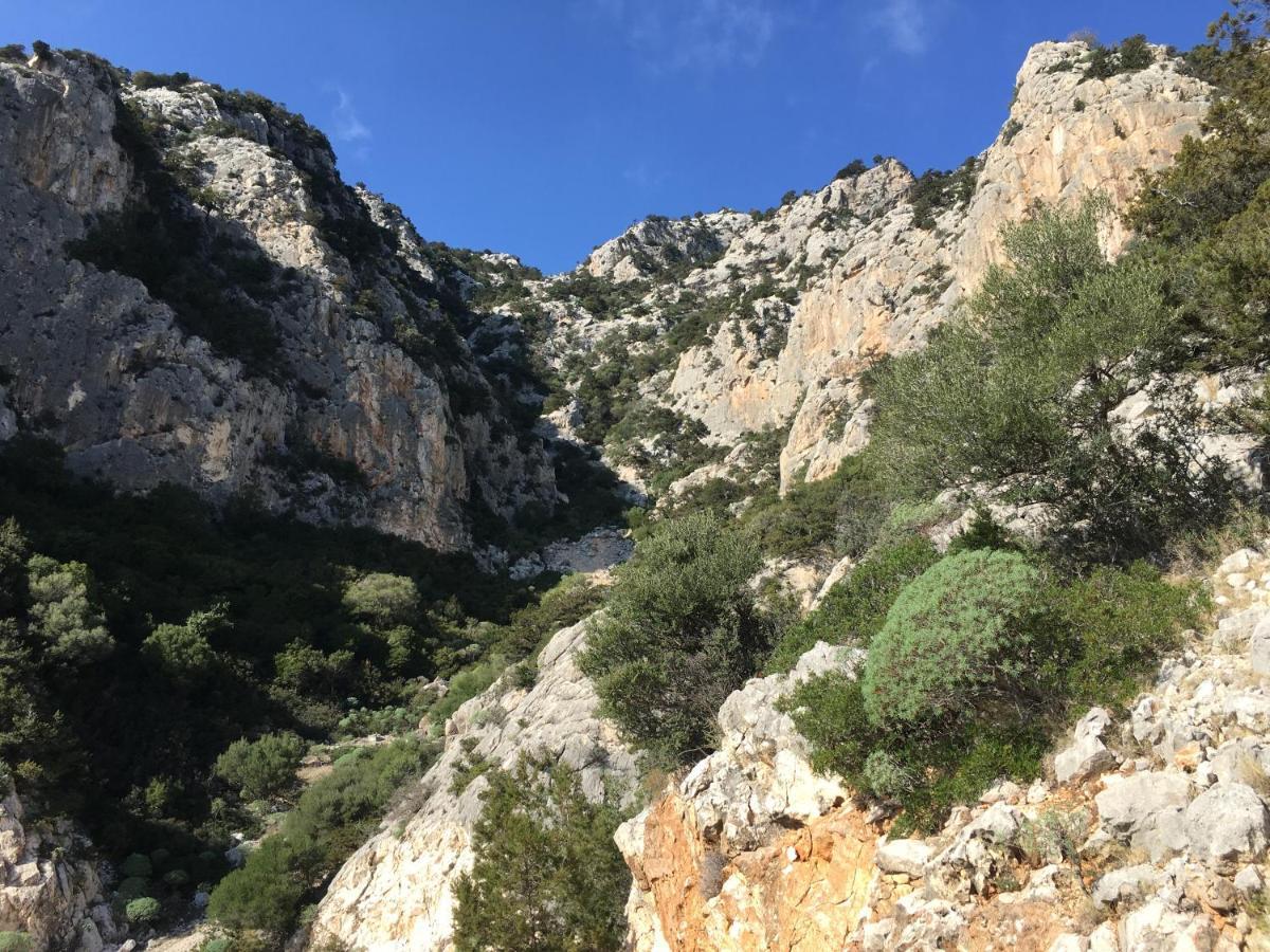 Cav Mameli Aparthotel Dorgali Exteriör bild